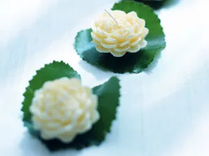酒水饮料 第六辑_5