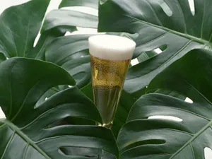 酒水饮料 第四辑第1张