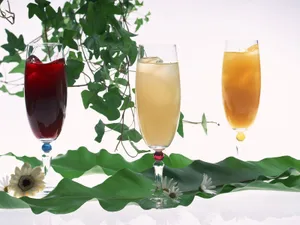 酒水饮料 第三辑第1张