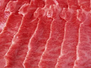 烧烤肉类 第一辑_2