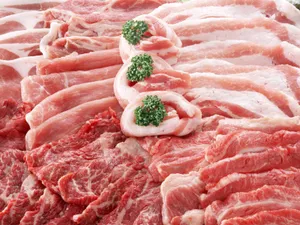 烧烤肉类 第一辑_5