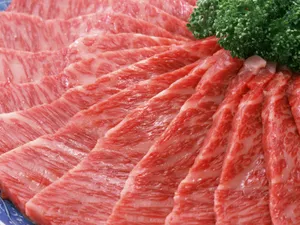 烧烤肉类 第一辑_7