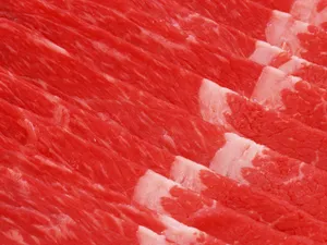 烧烤肉类 第一辑_11