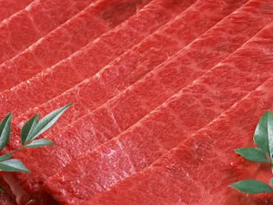 烧烤肉类 第一辑_12