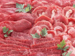 烧烤肉类 第一辑_13