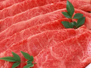 烧烤肉类 第一辑_14