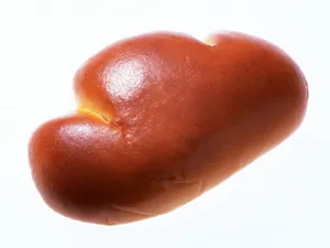 海鲜美食 第五辑_9
