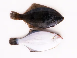 海鲜美食 第五辑_14