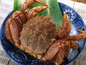 海鲜美食 第四辑_18