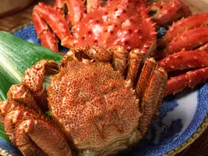 海鲜美食 第四辑_19