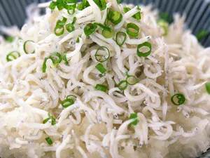 海鲜美食 第二辑_13