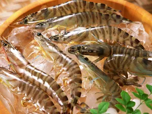 海鲜美食 第二辑_18