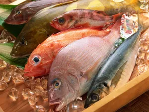 海鲜美食 第二辑_19