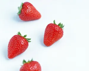 甜点 第三辑