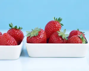 甜点 第三辑_2
