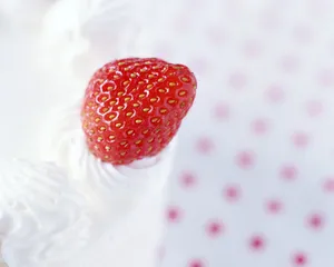甜点 第三辑_12