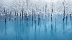 苹果MacSierra系统壁纸_16