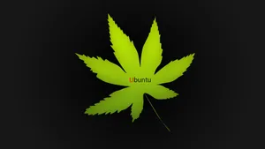 ubuntu系统壁纸_13