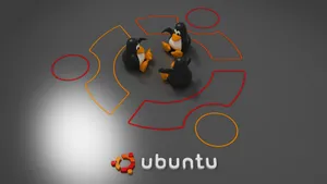 ubuntu系统壁纸_16