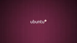 ubuntu系统壁纸_17