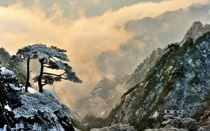 Bing官方主题风景类壁纸_2