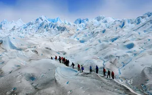 Bing官方主题风景类壁纸_12
