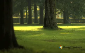 Windows 8系统桌面壁纸_9