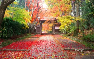 Bing日本风景主题壁纸_1