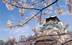 Bing日本风景主题壁纸_5