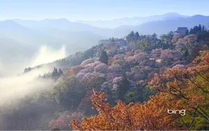 Bing日本风景主题壁纸_11