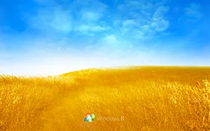 windows8高清桌面壁纸_3