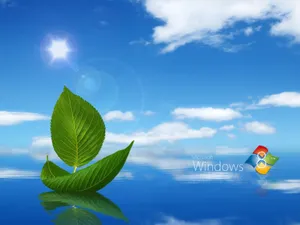 windows8高清桌面壁纸_6