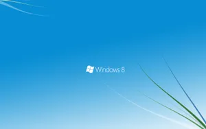 windows8高清桌面壁纸_14