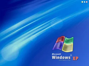 XP主题 第九辑_12