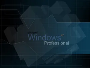 XP主题 第四辑_3