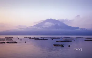 必应bing主题 第二辑_15