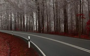 公路沿途的风景壁纸_10