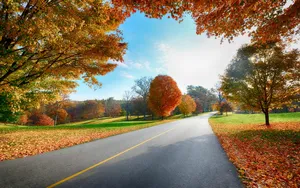 公路沿途的风景壁纸_17