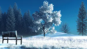公园唯美风景壁纸_6