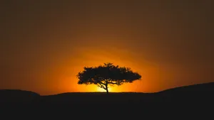 非洲AFRICA精美风光壁纸_10