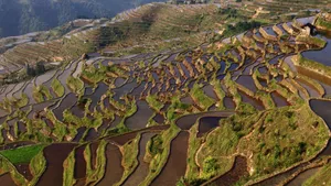 贵州加榜梯田图片_3