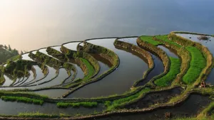 贵州加榜梯田图片_8