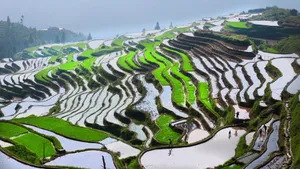 贵州加榜梯田图片_15