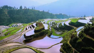 贵州加榜梯田图片_16