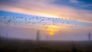 唯美清晨晨光风景图片_3