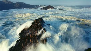大海海浪浪花图片_11