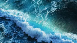 大海海浪浪花图片_15