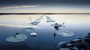 风景风光图片壁纸_2