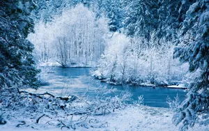 雪景图片大全大图_2