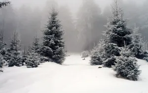 雪景图片大全大图_5